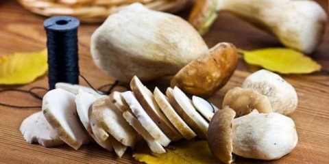 7 Praktičnih načina za sušenje vrganja kod kuće